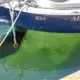 Yacht- und Bootswerft Rathje